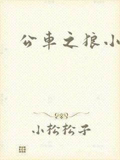 公车之狼小说