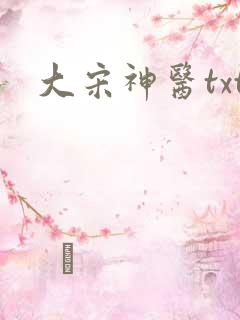 大宋神医txt