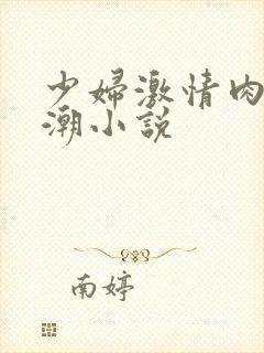 少妇激情肉欲高潮小说