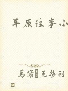 平原往事小说