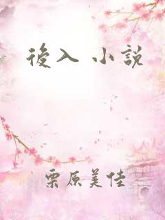 后入 小说