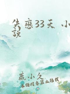 失恋33天 小说