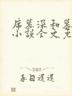 席慕深和慕清泠小说全文免费阅读