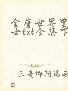 金庸世界里的道士txt全集下载