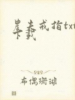 农夫戒指txt下载