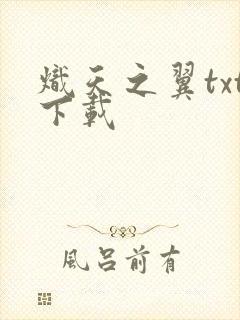 炽天之翼txt下载