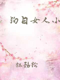狗日女人小说