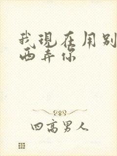 我现在用别的东西弄你