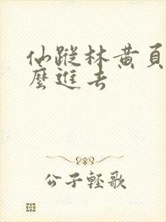 仙踪林黄页网怎么进去