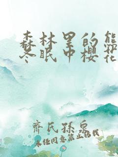 森林里的熊先生冬眠中樱花动漫