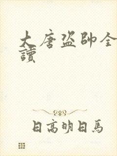 大唐盗帅全文阅读