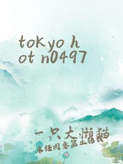 tokyo hot n0497