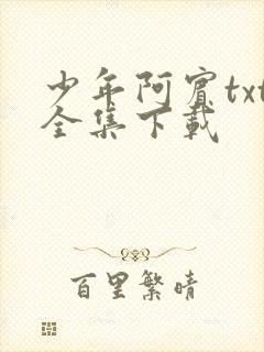 少年阿宾txt全集下载