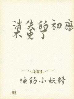 消失的初恋为啥不更了