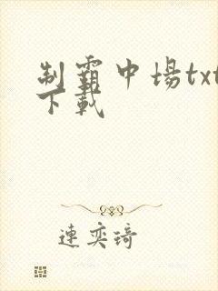 制霸中场txt下载