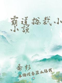 霸道总裁小娇妻小说