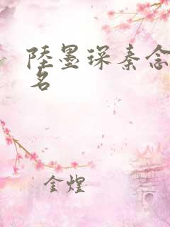 陆墨琛秦念小说名