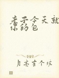 老子今天就要开你的包