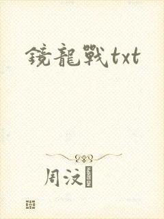 镜龙战txt