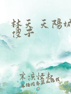 林天 天阳城 傻子
