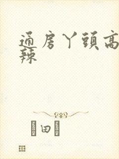 通房丫头高h肉辣