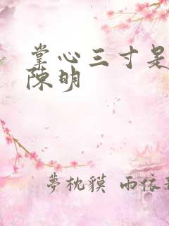 掌心三寸是人间陈明