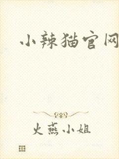 小辣猫官网