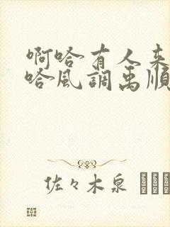 啊哈有人来了啊哈风调禹顺