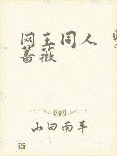 网王同人  紫蔷薇