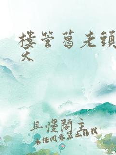 楼管葛老头的春天