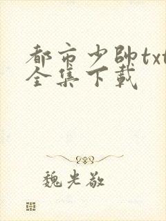 都市少帅txt全集下载