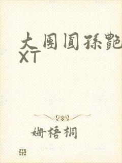 大团圆孙艳梅TXT