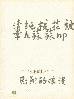 清纯校花被脔日常h苏苏np