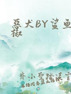 恶犬BY鲨鱼辣椒