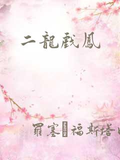 二龙戏凤