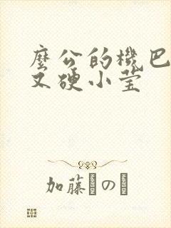 么公的机巴又粗又硬小莹