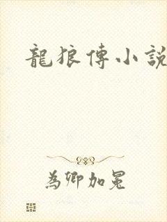 龙狼传小说