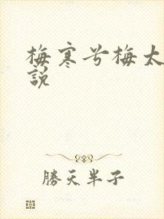 梅寒兮梅太颜小说