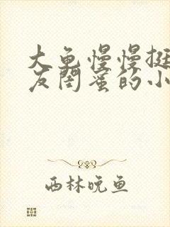 大龟慢慢挺进女友闺蜜的小说