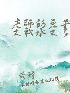 老师的兔子又大又软水又多