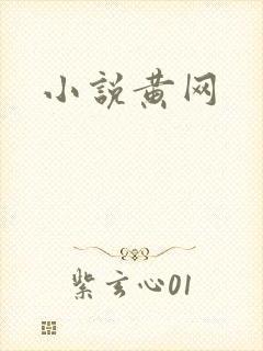 小说黄网