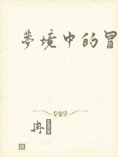 梦境中的冒险家