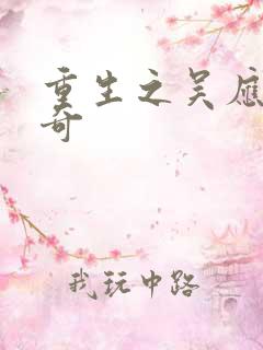 重生之吴应熊传奇