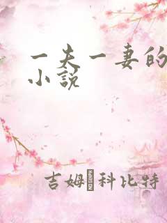 一夫一妻的玄幻小说