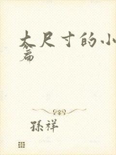 大尺寸的小说短篇