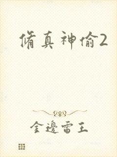 修真神偷2