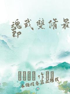 魂武双修最新章节