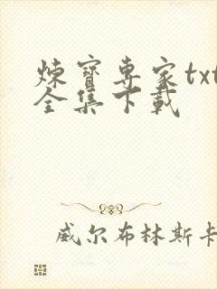 炼宝专家txt全集下载