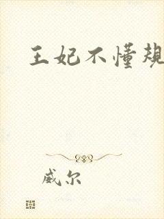 王妃不懂规矩