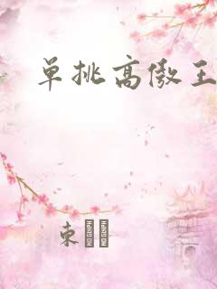 单挑高傲王子